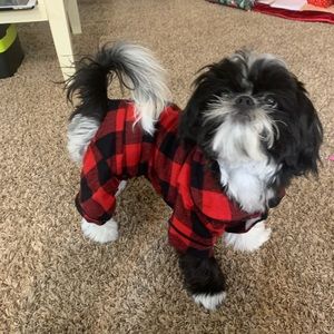 Meet your Posher, Claire